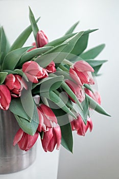 Red tulips in an iron bucket