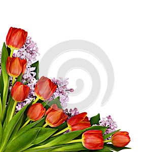 Red tulips and lilac flowers bouquet in a corner