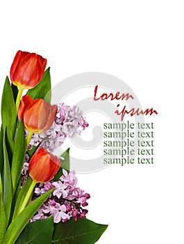 Red tulips and lilac flowers bouquet in a corner