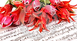 Red tulips with music sheet page