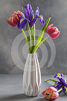 Red tulips and purple irises in white vase on gray background. Still life in the style of minimalism