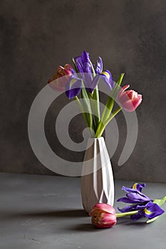 Red tulips and purple irises in white vase on gray background. Still life in the style of minimalism