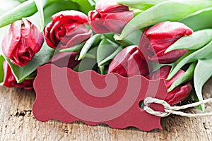 Tulips an tag