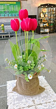 Red tulips in a vase.