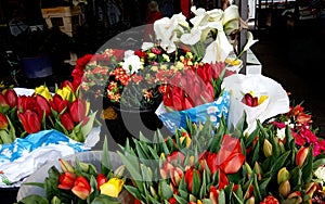 Red tulips and white callas on Bayloni market in Belgrade