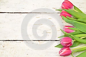 red Tulips on white rustic wooden background. Spring flowers. Spring background. Greeting card for Easter