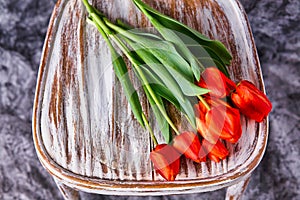 Red tulips on a wooden vintage chair