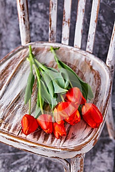 Red tulips on a wooden vintage chair
