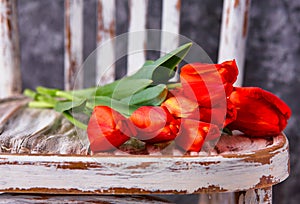 red tulips on a wooden vintage old chair