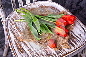 Red tulips on a wooden vintage old chair