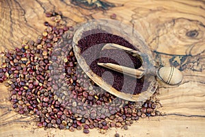 red sumach seeds photo