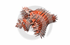 Red twisted sea shell