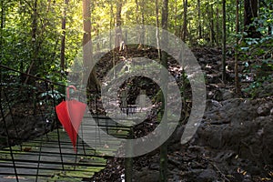 Red umbella hang on bridge in forest