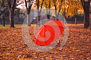 Red Umbrella in Autumn photo