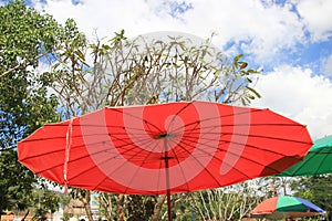 Red umbrella in the market.The sky and trees are the background