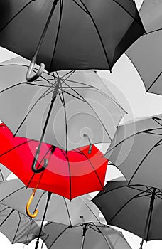 Red umbrella standing out