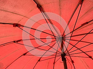 red umbrella texture background