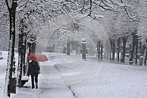 Red umbrella under the snow