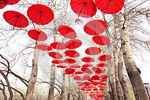 Red umbrellas