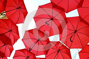 Red umbrellas covering a street in Belgrade,Serbia