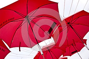 Red umbrellas in Korea