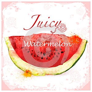 Red vector watercolor watermelon photo