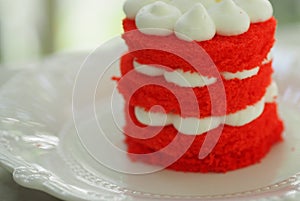 Red Velvet cake and Whipping Cream on white plate