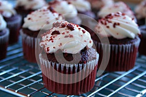 Red velvet cup cakes on cooling rack
