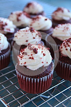 Red velvet cup cakes on cooling rack