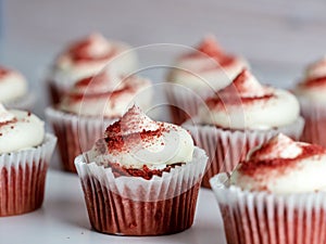 Red velvet cupcakes decorated with white cream cheese frosting and red powder!  Delicious and beautiful baked goods