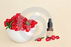 Red Verbena Flowers with Aromatherapy Essential Oil