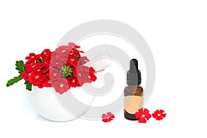 Red Verbena Flowers and Essential Oil Bottle