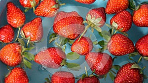 Red vibrant strawberries floating on the water