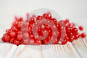 Red viburnum of fresh harvest on a light background closeup