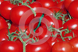 Red vine tomatoes