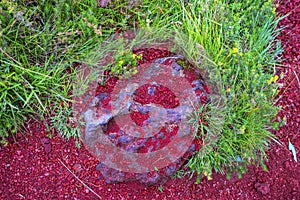 Red Volcanic Stone Kerio Volcano Crater Lake Golden Circle Iceland