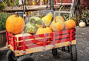 Red Wagon Filled with Pumpkins and Gourds