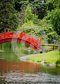 Red walking bridge in Japanese garden