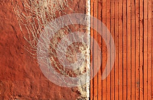 Red wall with plant relief and red timber boards