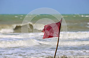 Red warning flag flapping in the wind on beach at stormy weather