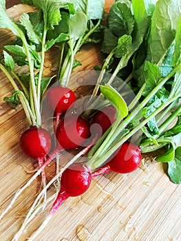 Red washed radishes on a wooden table
