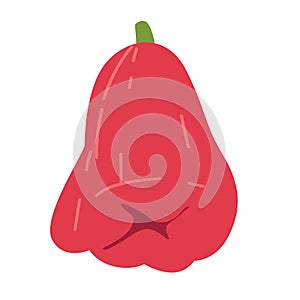 Red water apple fruit icon, watery rose apple in cartoon style, buah jambu merah vector illustration, wax apple or malay apple photo