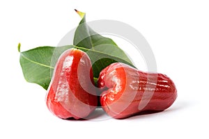 Red water rose apple fruit