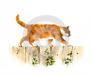 Red watercolor cat walks on the fence illustration