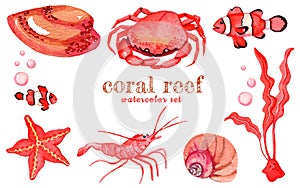 Red watercolor set of isolated marine inhabitants