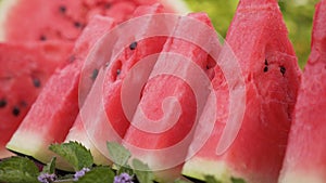 Red watermelon slices on a plate. Camera slide and pan.