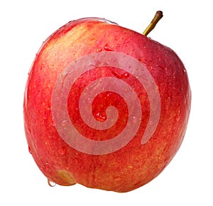 Red wealthy apple