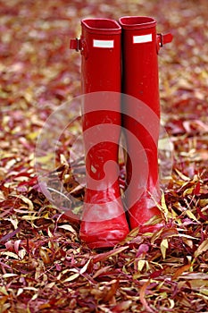 Red Wellies in colourful autumn fall leaves