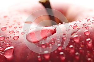 Red wet apple with big droplet