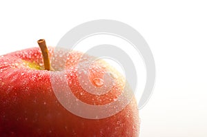 Red wet apple with big droplet